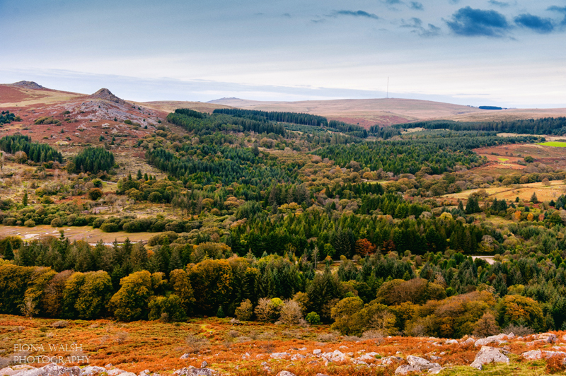 Landscape Photography on Dartmoor