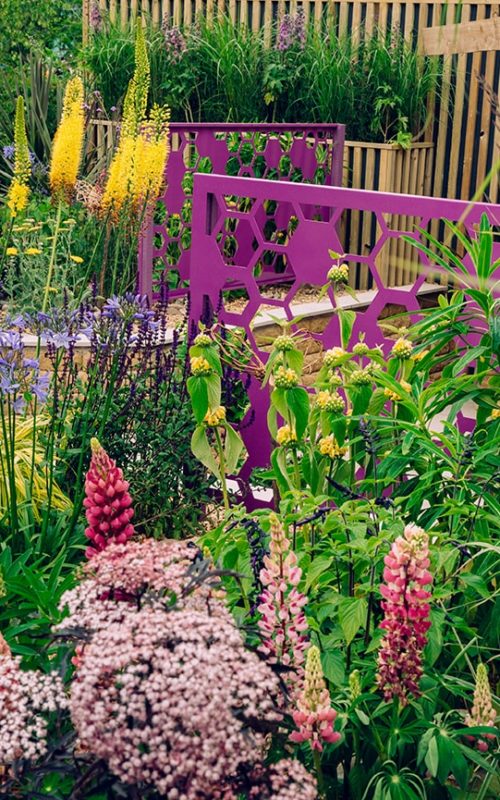 BBC Gardeners' World Live, Interview With Garden Designer Pip Probert