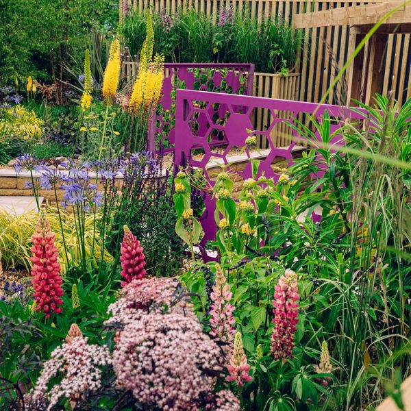 BBC Gardeners' World Live, Interview With Garden Designer Pip Probert
