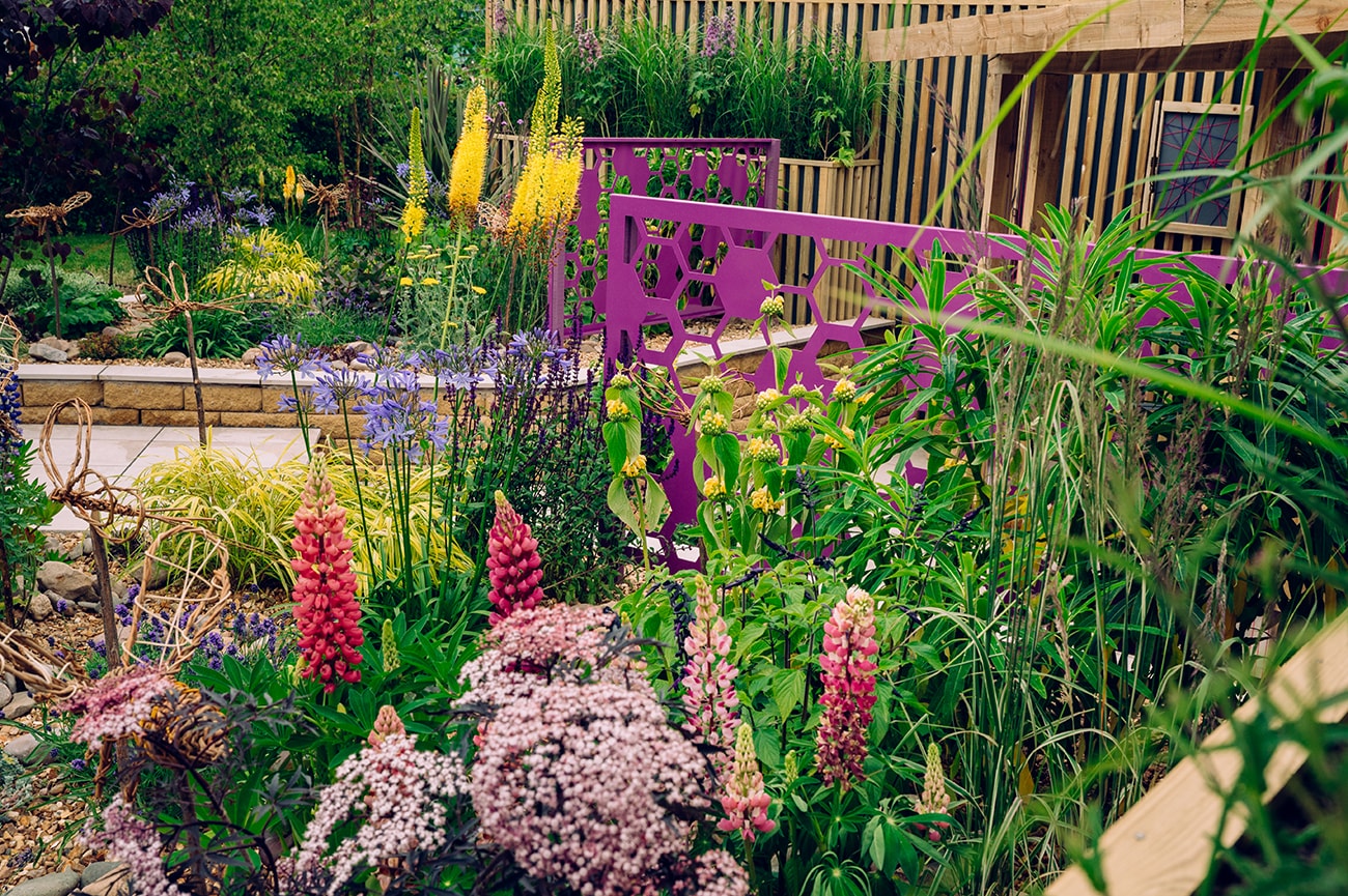 BBC Gardeners’ World Live, Interview With Garden Designer Pip Probert