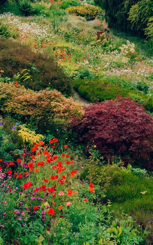 The Garden House - Devon