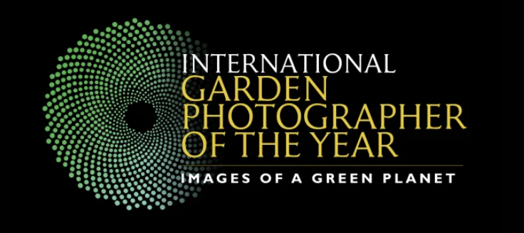 IGPOTY commended