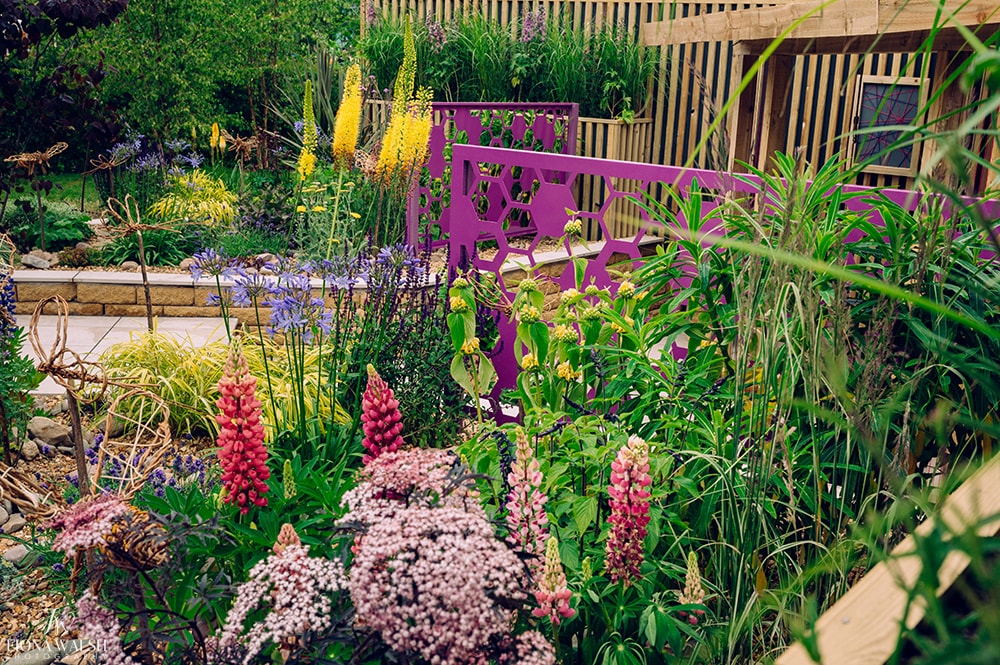 how to be a garden designer pip probert bbc