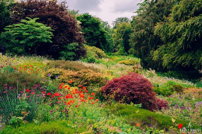 009garden-photography-the-garden-house