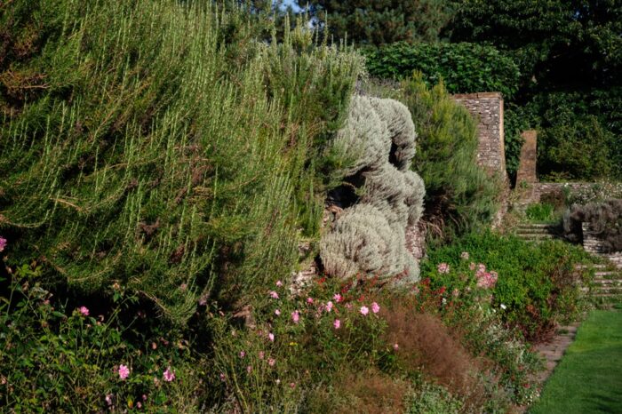 hestercombe fiona walsh