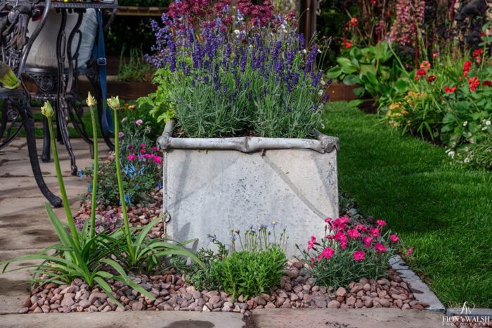 14.gardeners world nec fiona walsh