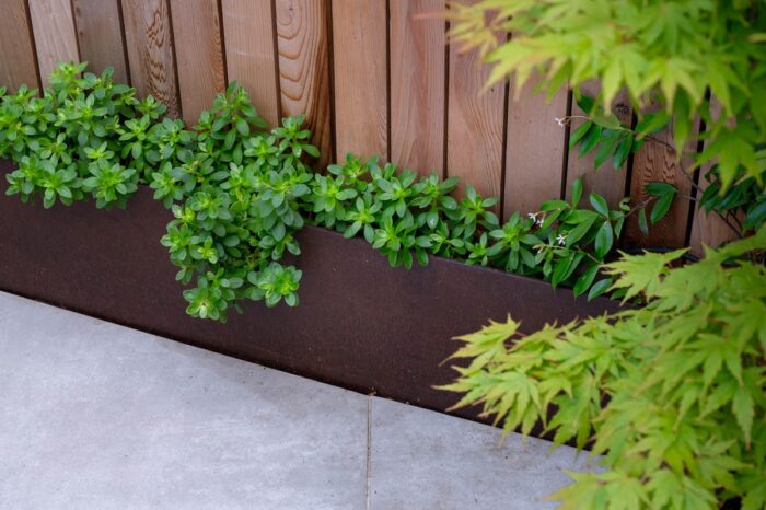 landscaping-photographer