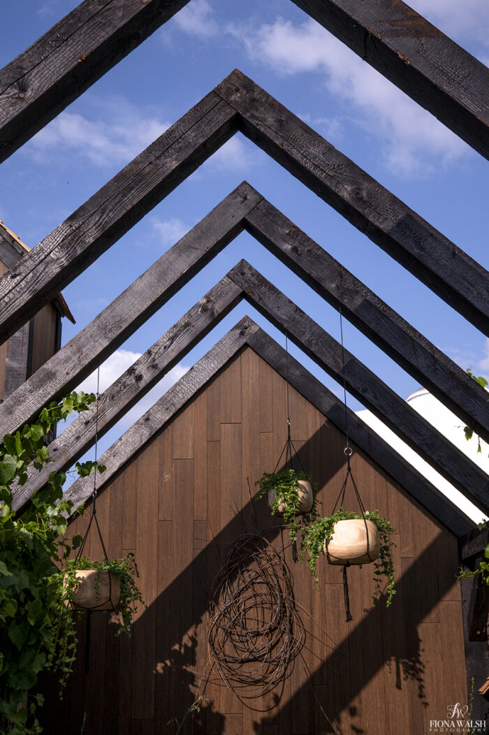 bbcgardenersworldlive-photographer017