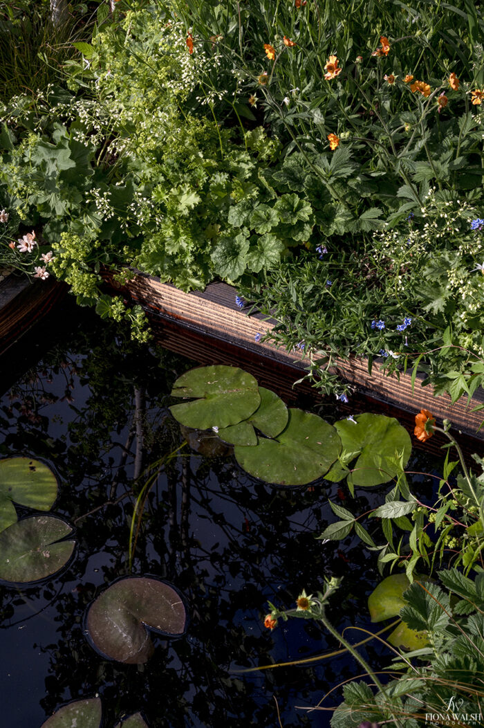 bbcgardenersworldlive-photographer020