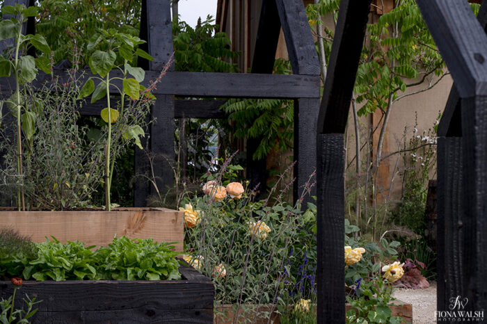 bbcgardenersworldlive-photographer021