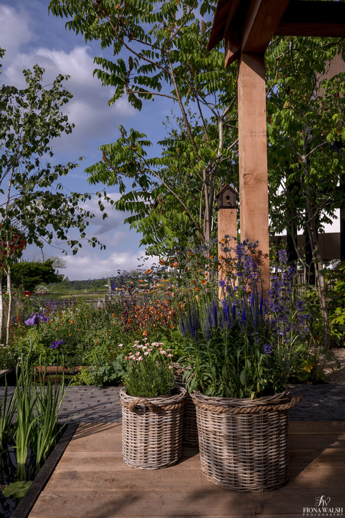 bbcgardenersworldlive-photographer022