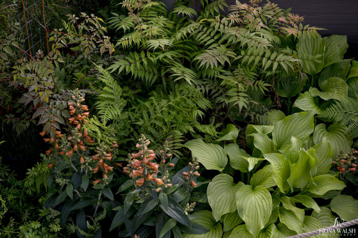 bbcgardenersworldlive011